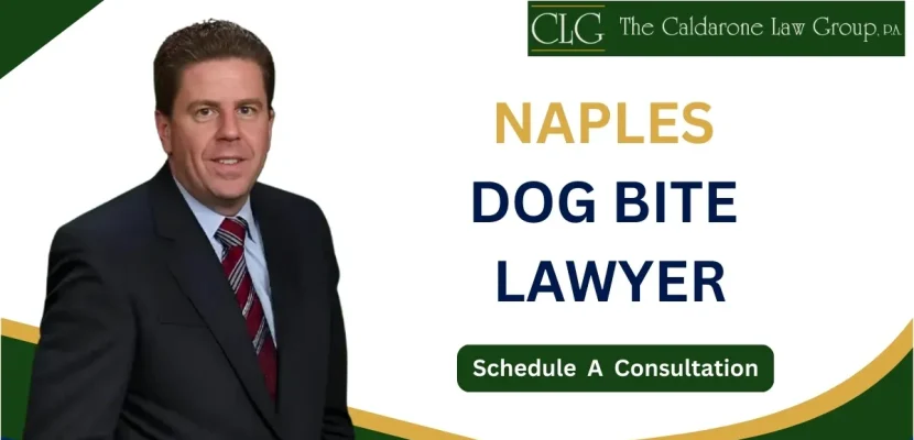 Naples Dog Bite Lawyer-image