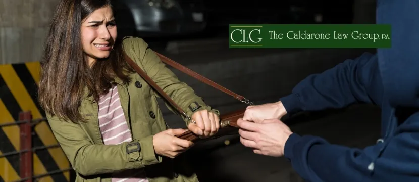 Florida Robbery vs Theft Charges Explained